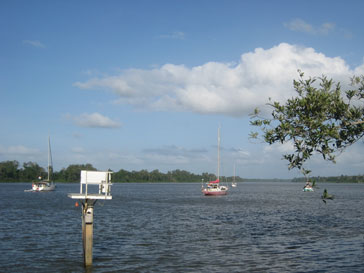 Suriname rivier