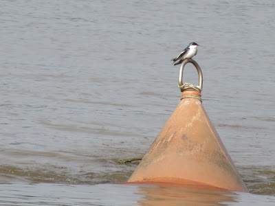 Anchorage/mooring in Domburg